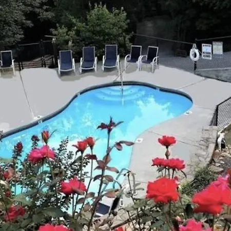 Experience The Allure Of Almost Paradise Where Bliss Awaits Gatlinburg Exterior photo